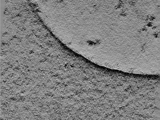 key visualization for 24jun18a_Position_10_5