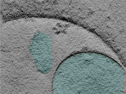 key visualization for 24jun18a_Position_11_2