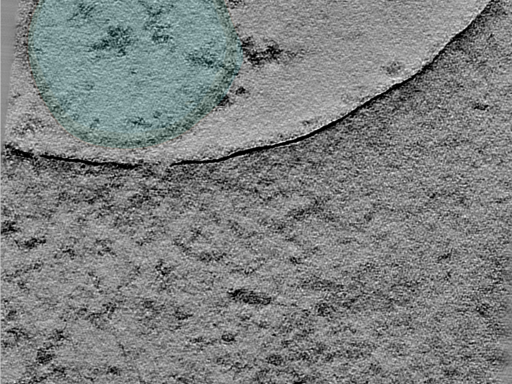 key visualization for 24jun18a_Position_11_3