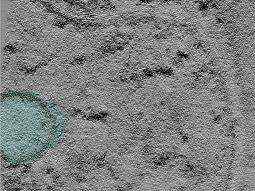 key visualization for 24jun18a_Position_11_5