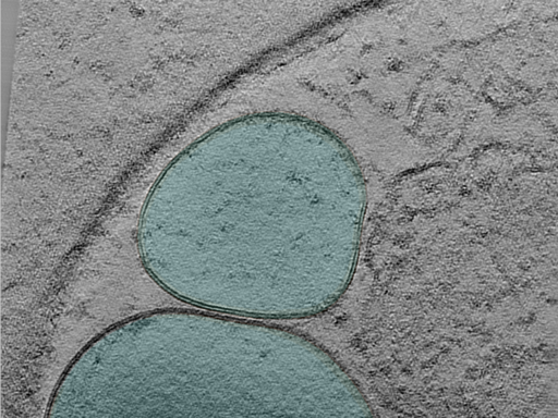 key visualization for 24aug07a_Position_10