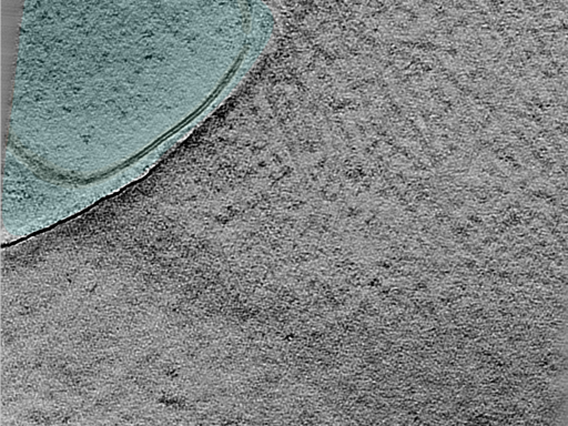 key visualization for 24aug07a_Position_10_3