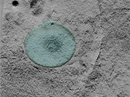 key visualization for 24aug07a_Position_11_2