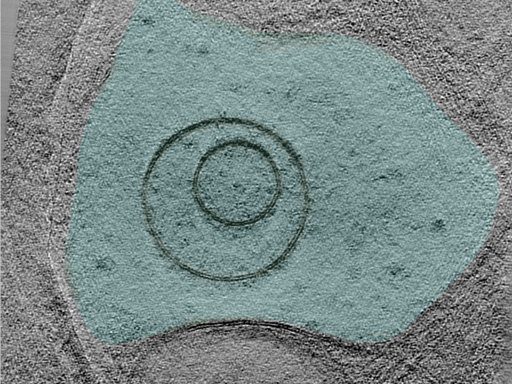 key visualization for 24aug07a_Position_12