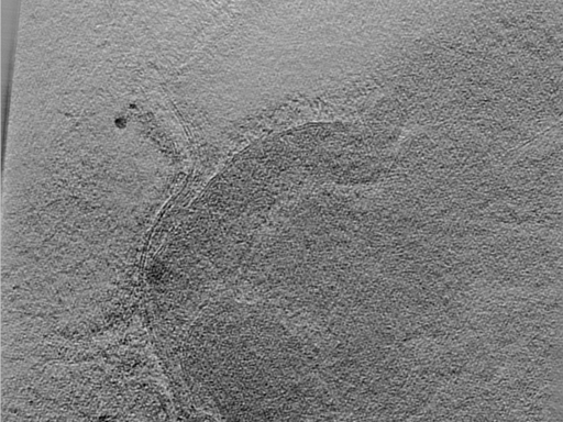 key visualization for 24aug07a_Position_12_4