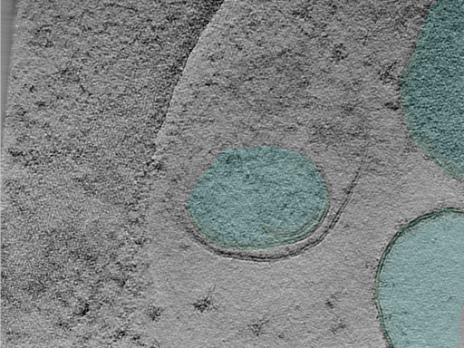 key visualization for 24aug07a_Position_14