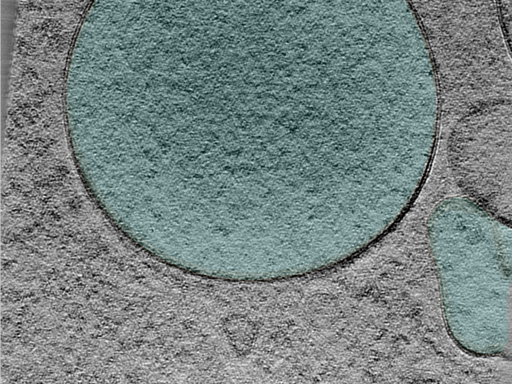 key visualization for 24aug07a_Position_14_3