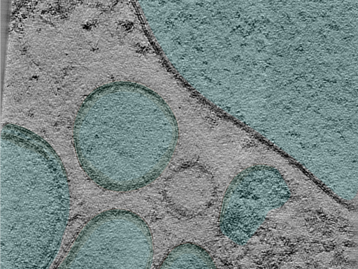 key visualization for 24aug07a_Position_15_2