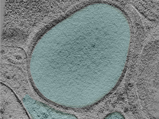 key visualization for 24aug30a_Position_100_3