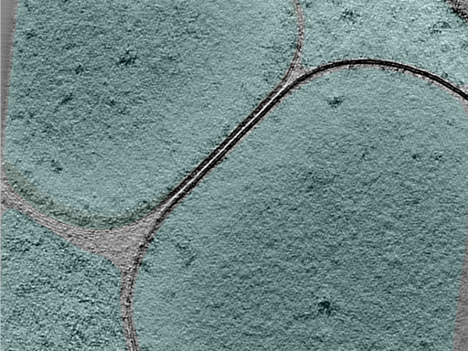 key visualization for 24aug30a_Position_100_6