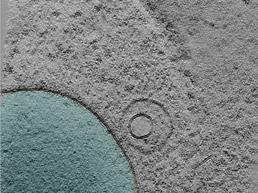 key visualization for 24aug30a_Position_101_3