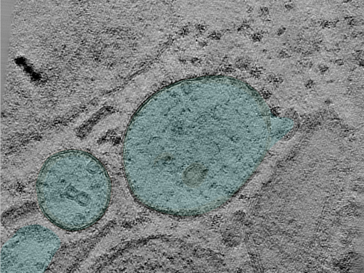 key visualization for 24aug30a_Position_103