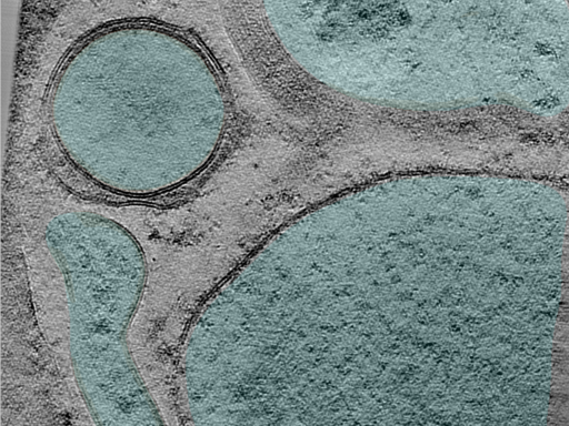 key visualization for 24aug30a_Position_103_3