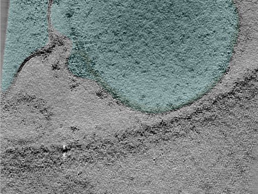 key visualization for 24oct03c_Position_101_2