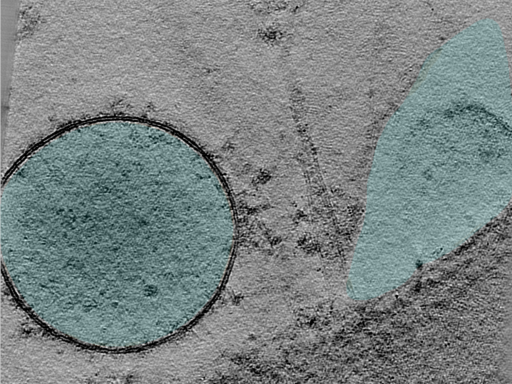 key visualization for 24oct03c_Position_101_8