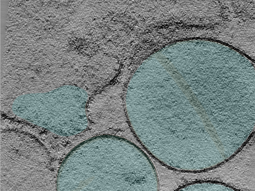 key visualization for 24oct03c_Position_102_5