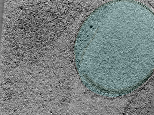 key visualization for 24oct03c_Position_102_6