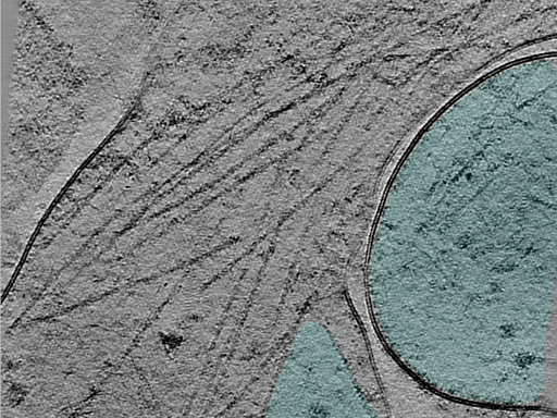 key visualization for 24oct03c_Position_103_6