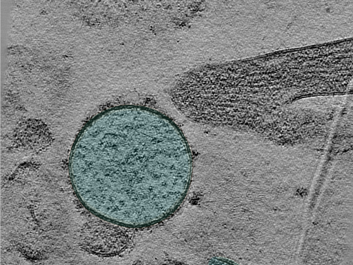 key visualization for 24oct03c_Position_103_8