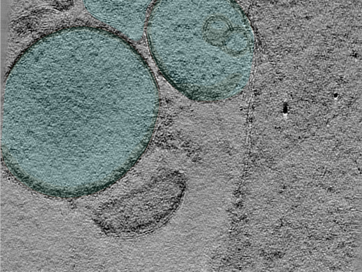 key visualization for 24oct03c_Position_10_2