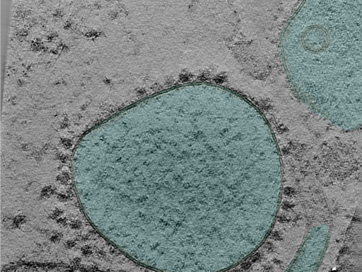 key visualization for 25jan16a_Position_100_2