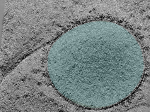 key visualization for 25jan16a_Position_101_2