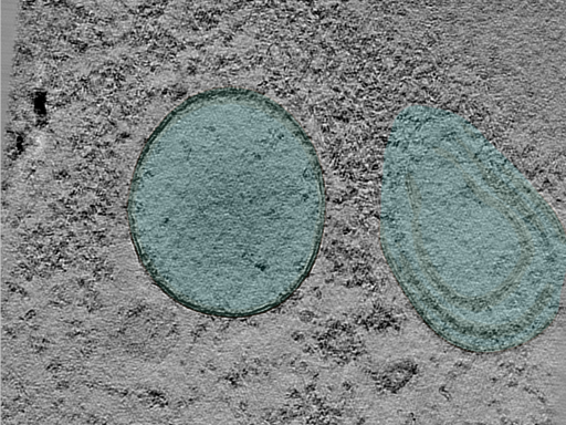 key visualization for 25jan16a_Position_101_3