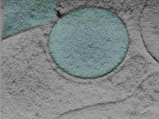 key visualization for 25jan16a_Position_101_5