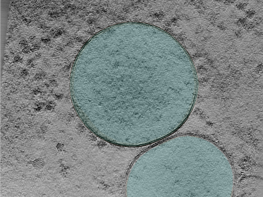 key visualization for 25jan16a_Position_102