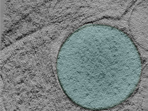 key visualization for 25jan16a_Position_102_5