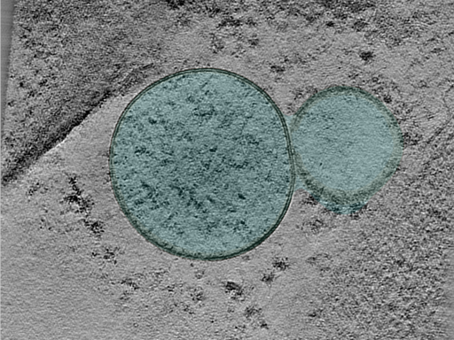 key visualization for 25jan16a_Position_103_3