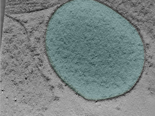 key visualization for 25mar28b_Position_10