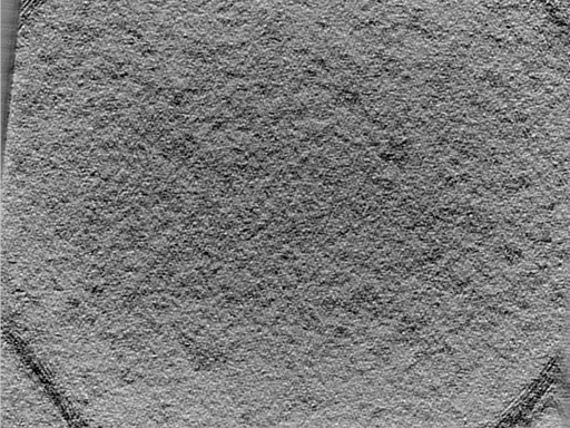 key visualization for 25mar28b_Position_101