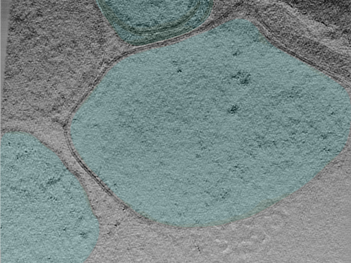 key visualization for 25apr01a_Position_100_3