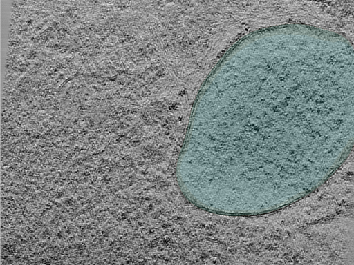 key visualization for 25apr01a_Position_101_3