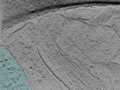 key visualization for 25apr01a_Position_101_5