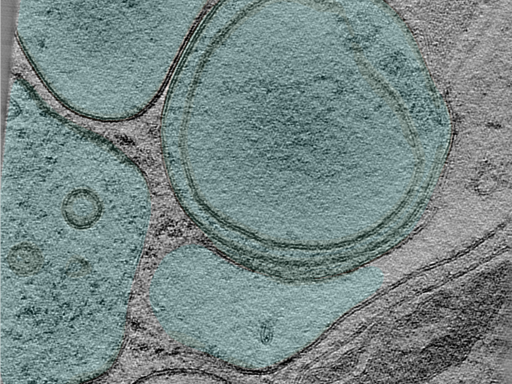 key visualization for 25apr01a_Position_102_2