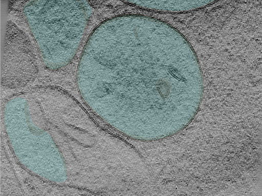 key visualization for 25apr01a_Position_102_3