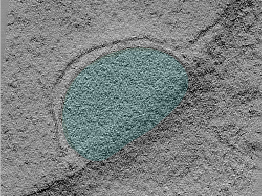 key visualization for 25apr01a_Position_104_2