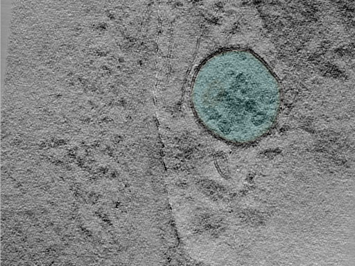 key visualization for 25apr01a_Position_10_3