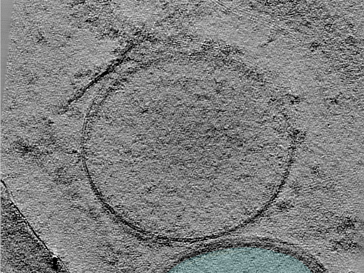 key visualization for 25jun02a_Position_10