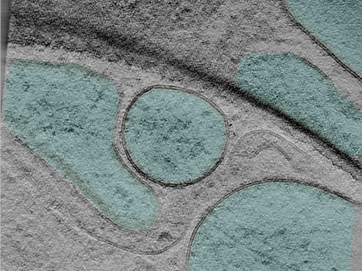 key visualization for 25jun02a_Position_100_4