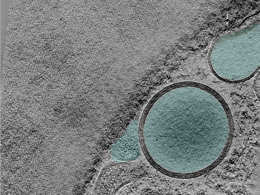 key visualization for 25jun02a_Position_101_2