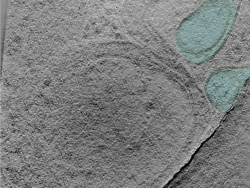 key visualization for 25jun02a_Position_101_4