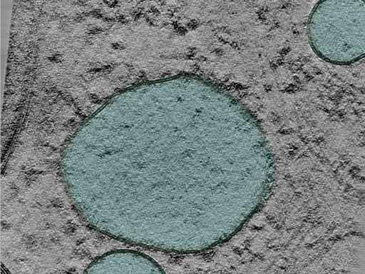 key visualization for 25jun02a_Position_102