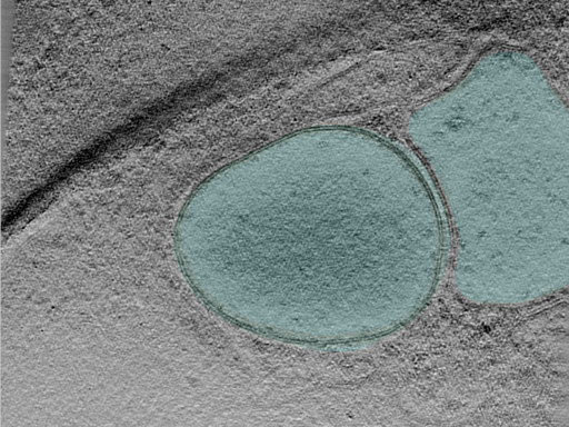 key visualization for 25jun02a_Position_103_2