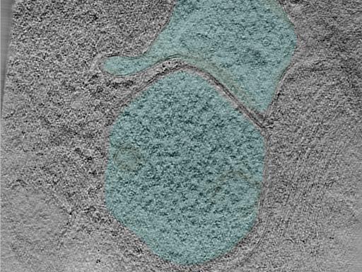 key visualization for 25jun02a_Position_103_3