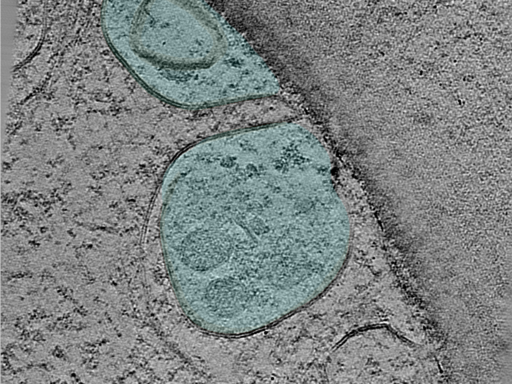 key visualization for 25jun02a_Position_104_3