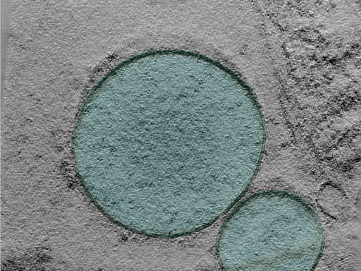 key visualization for 25oct01a_Position_97