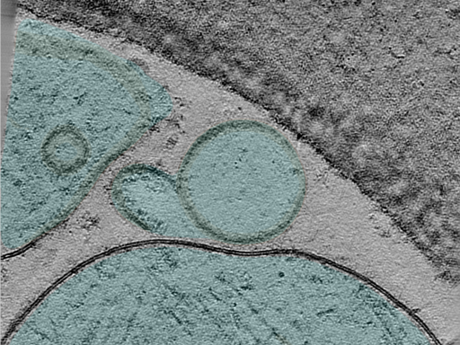 key visualization for 25oct01a_Position_99